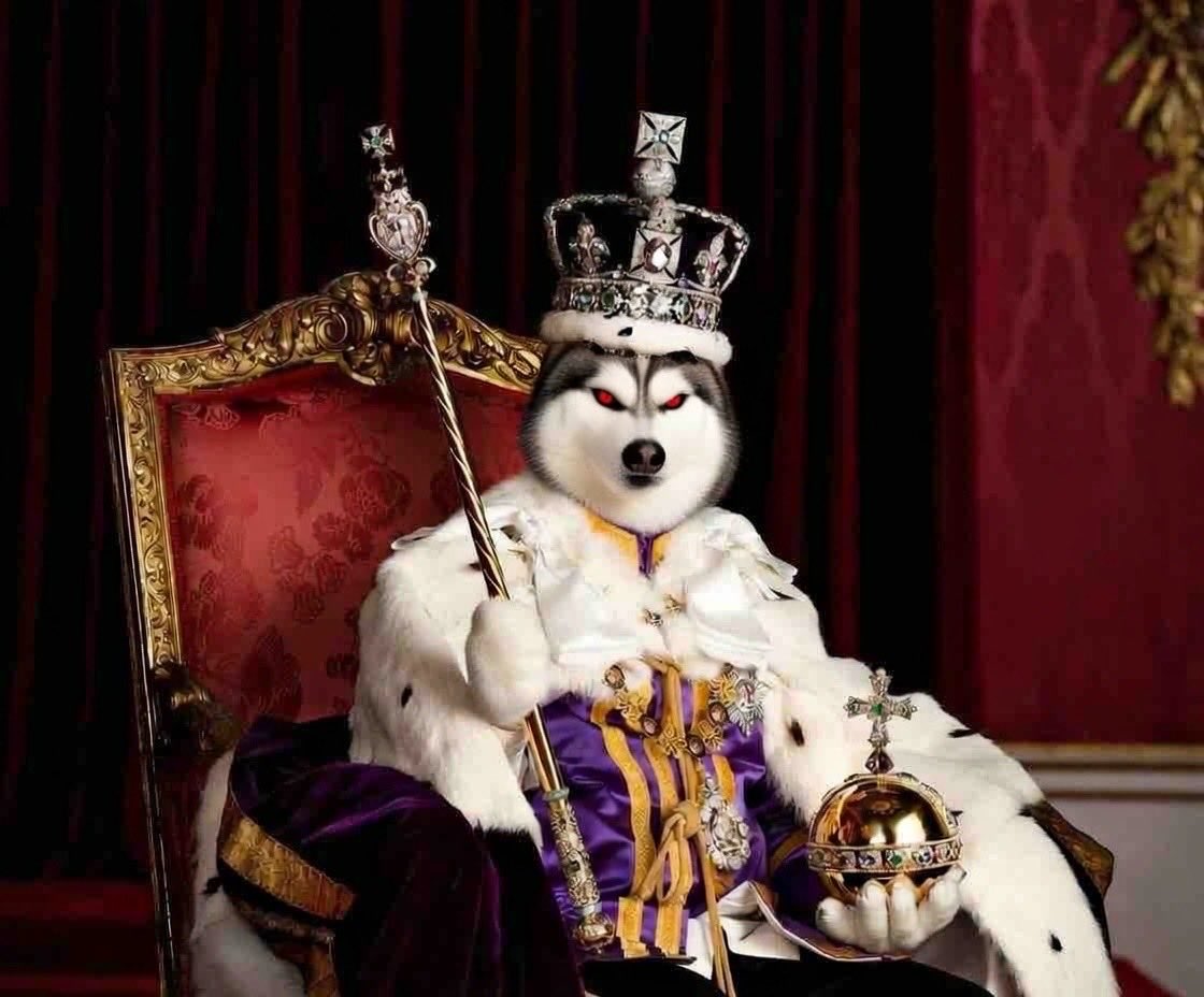 Crypto Warrior tweet media