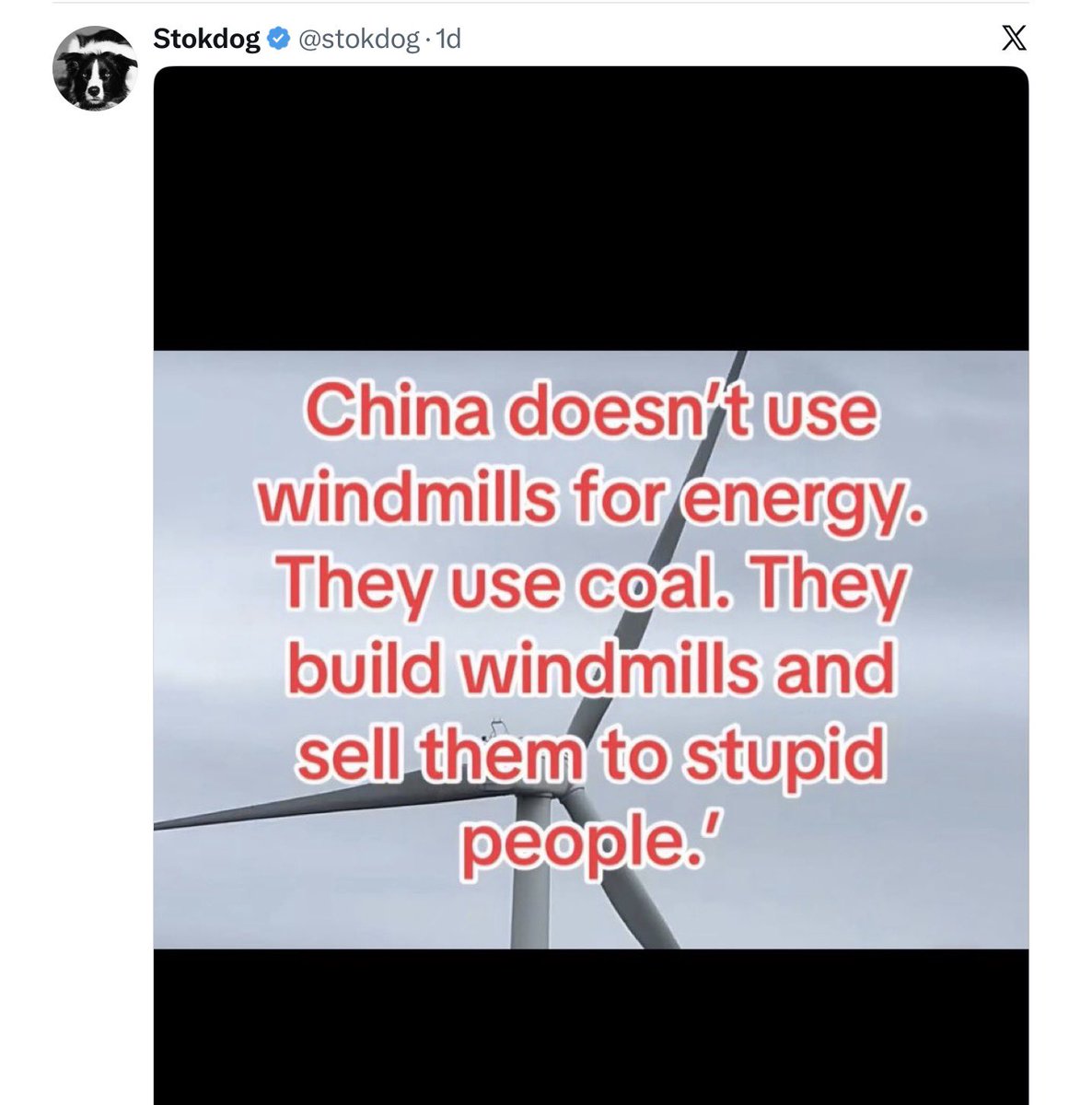 Dr Jill Belch tweet media