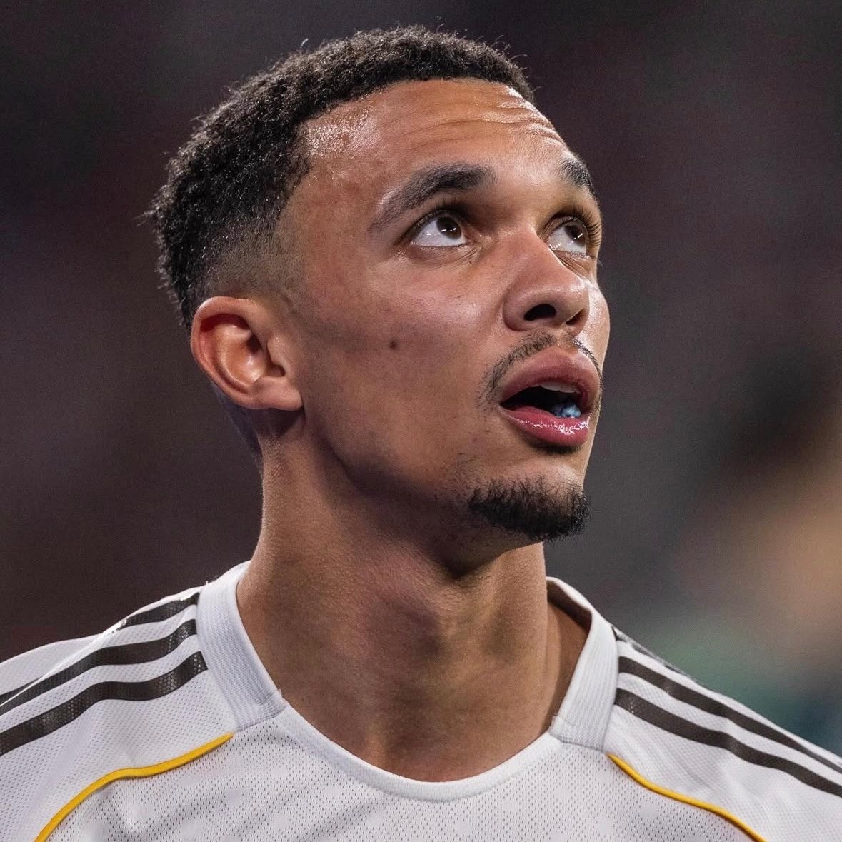 عمرو tweet media