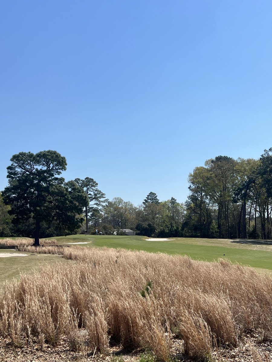 Will Galloway tweet media