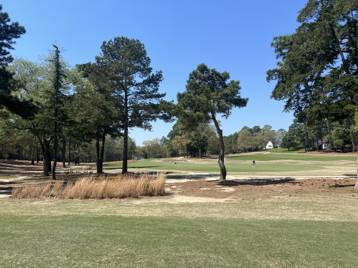 Will Galloway tweet media