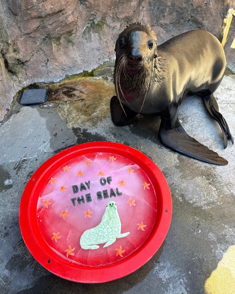 isabella🪼🎏 tweet media