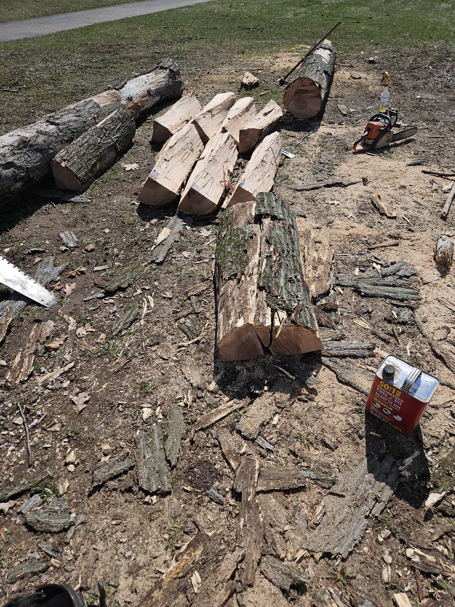 Spaghetti Joe tweet media