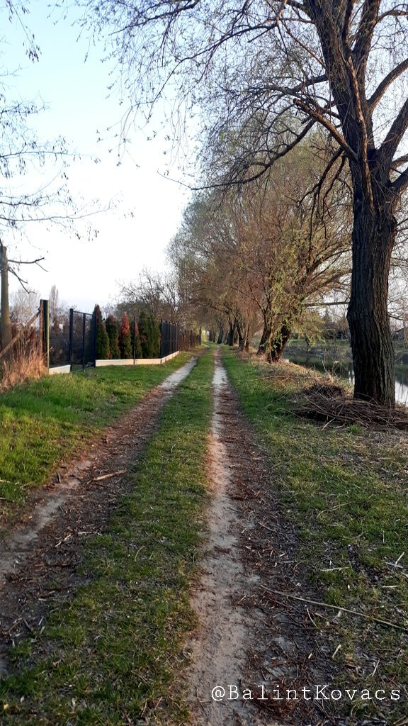 Balint Kovac tweet media