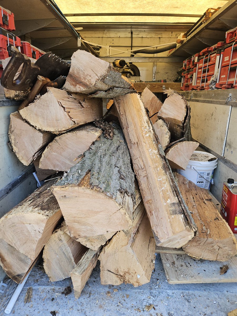 Spaghetti Joe tweet media