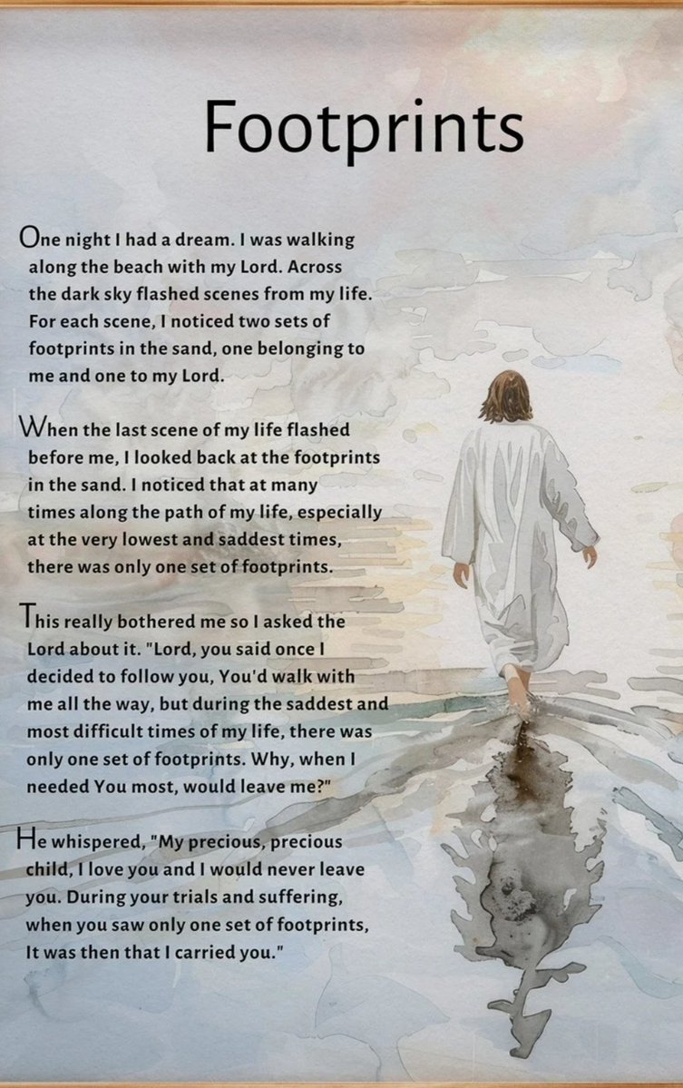 sunshine breeze tweet media