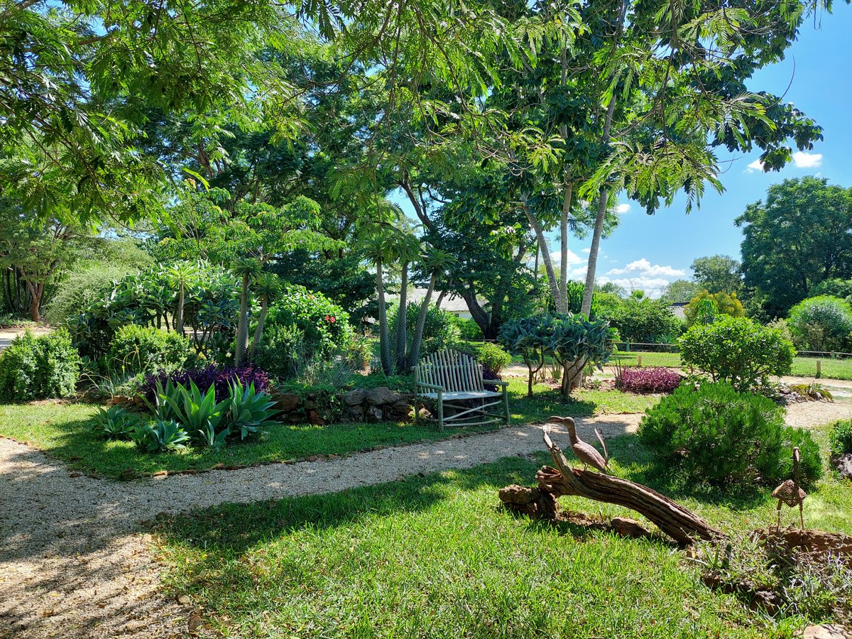 Musangano Lodge tweet media