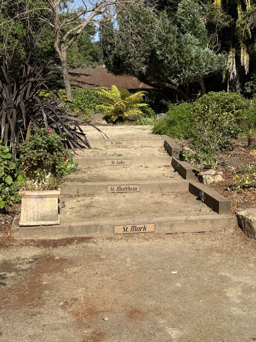 Abel Paul George tweet media