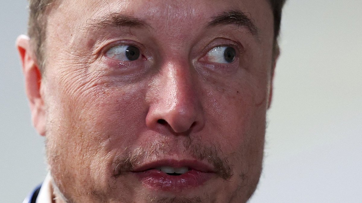 Delta Tango tweet media