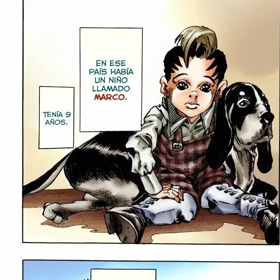 AlejandroV 🍁 tweet media