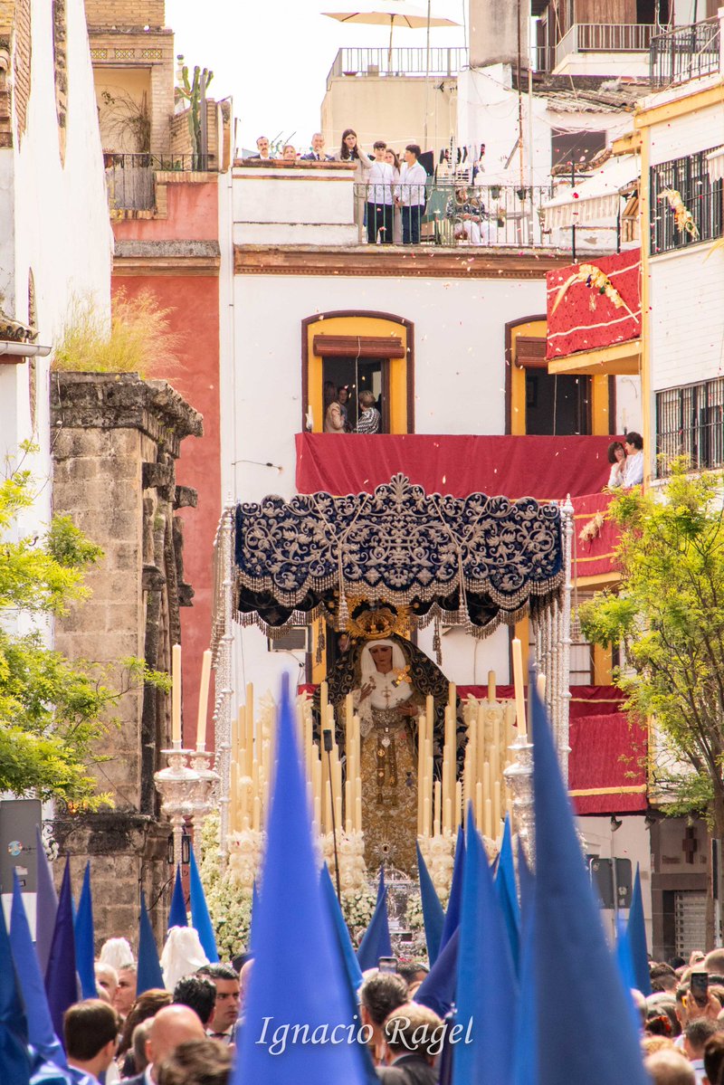 Ignacio Ragel 📸 tweet media