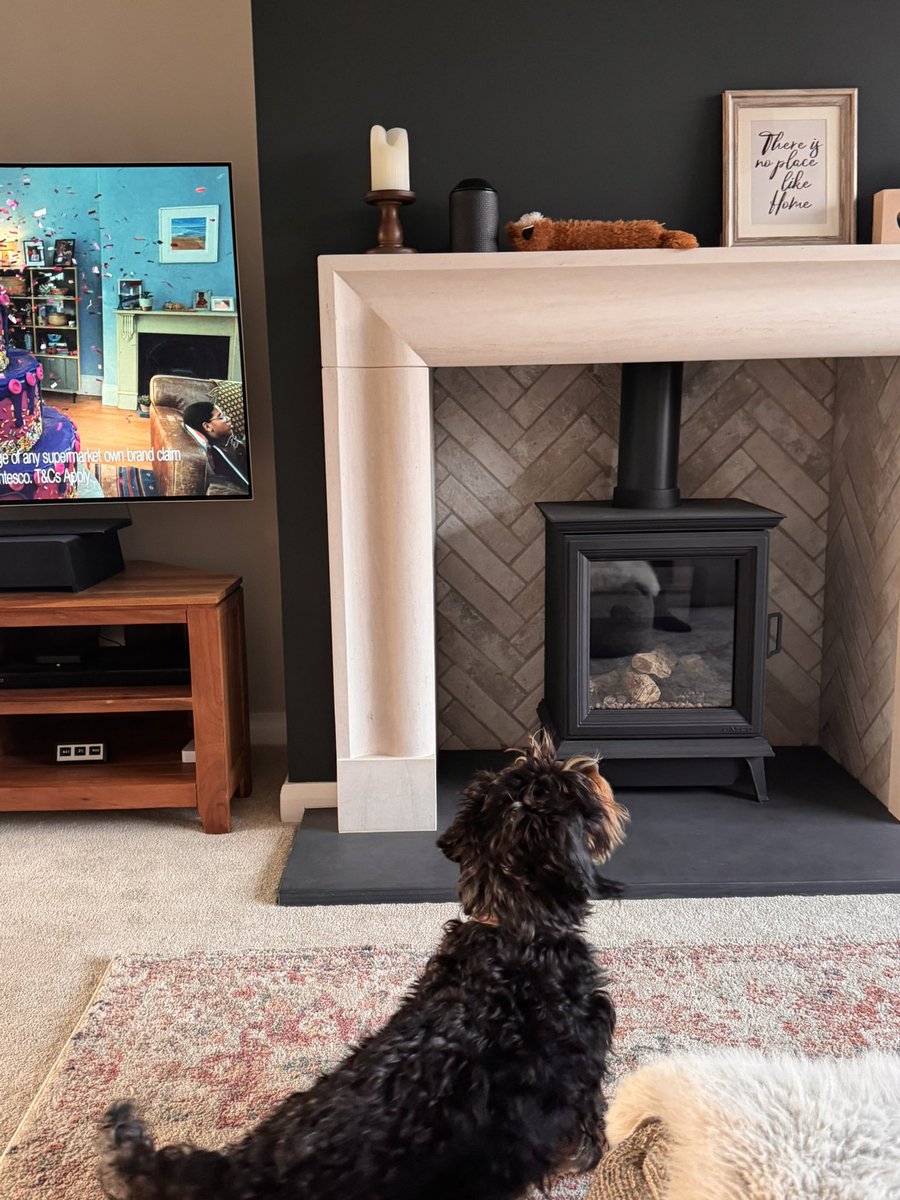 IsabellaDaxie's tweet image. Help! Squeaky fox has jumped on the mantelpiece 😱😱😱 

🙉🦊 🤭

Well I never, no idea why?…….. #clueisinsqueaky #noisything #poor #Bella 😂😂