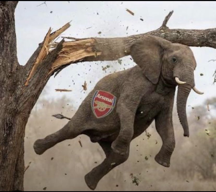 Nababi christine tweet media