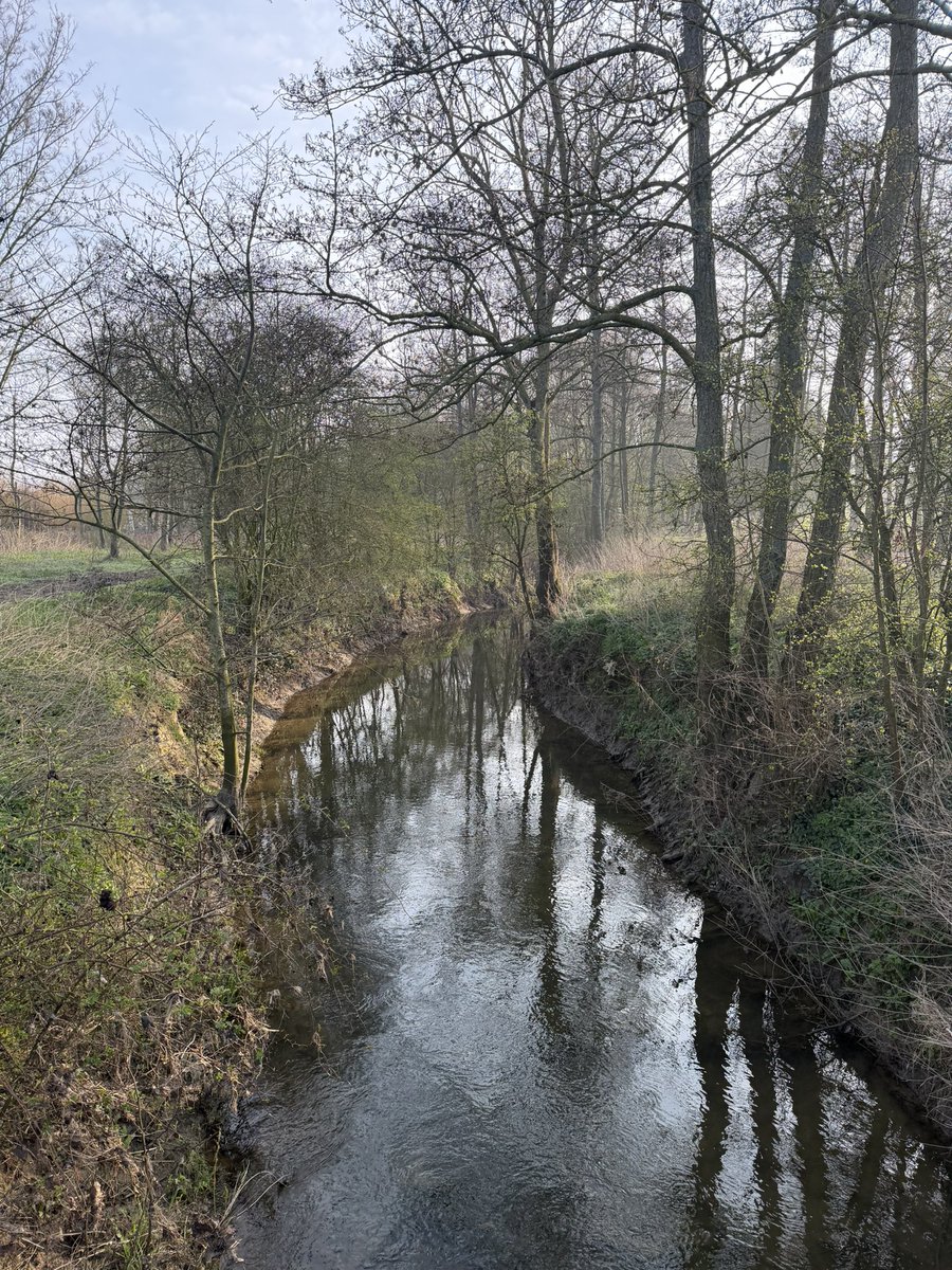 o₿iy@nn tweet media