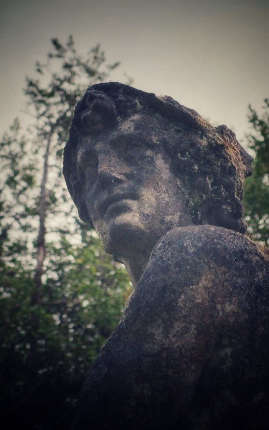 JPCampbellBiz tweet media