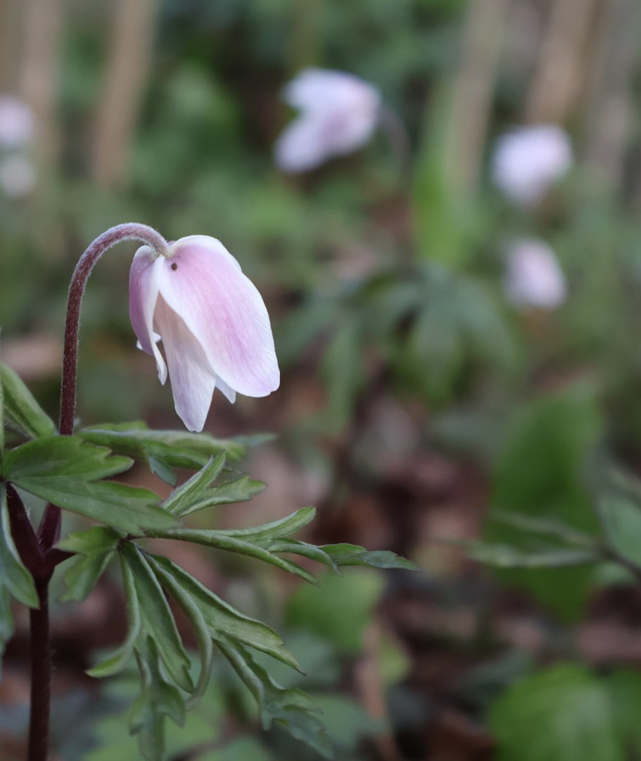 JPCampbellBiz tweet media