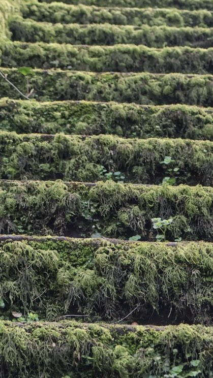 JPCampbellBiz tweet media