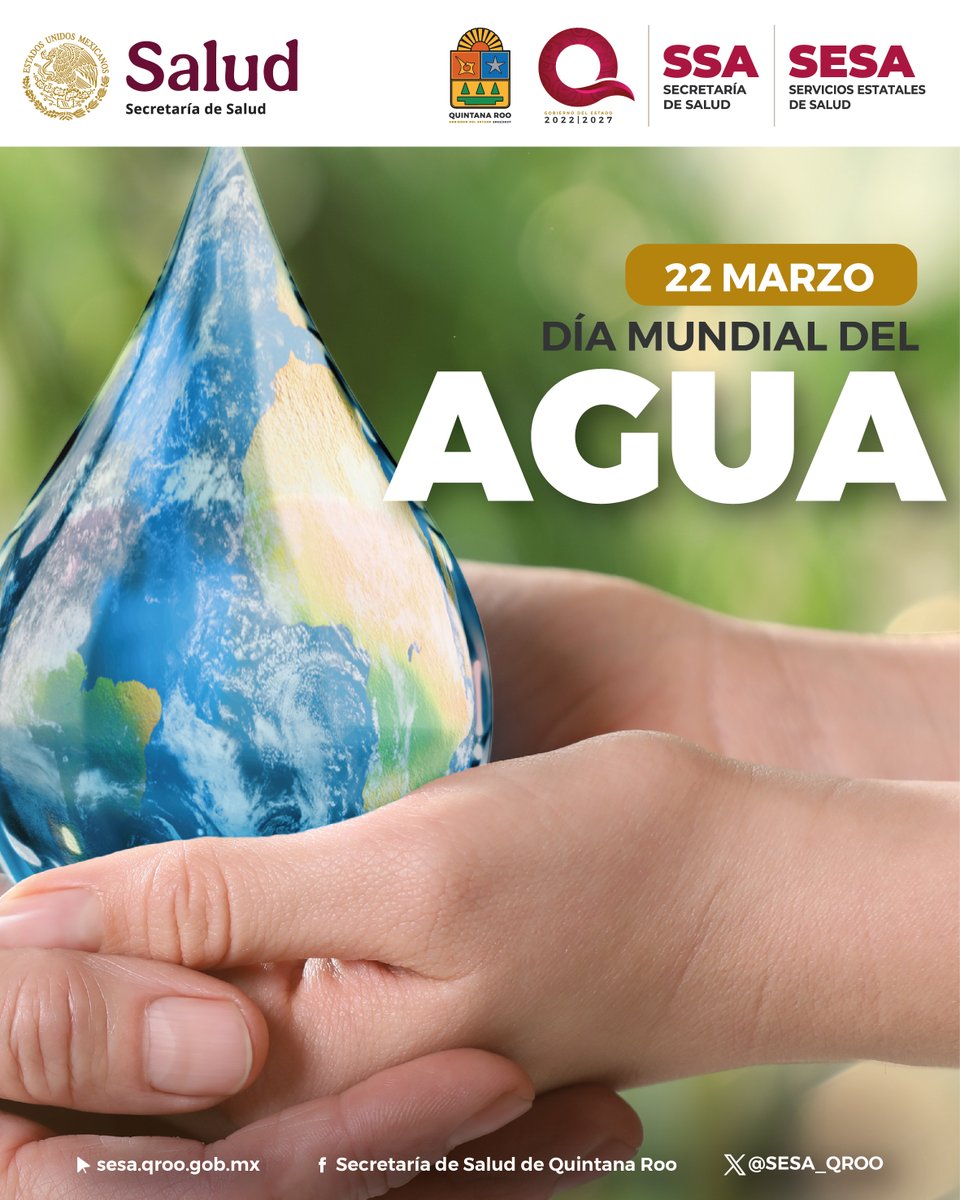 SESA Quintana Roo tweet media