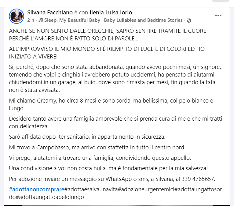 Qua la Zampa tweet media