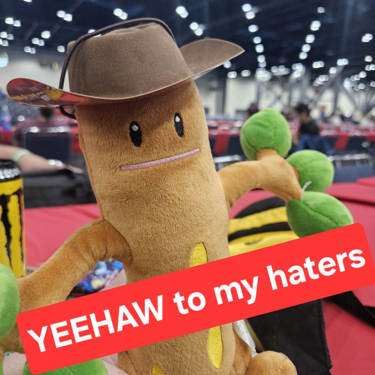 Token Female(in)VGC tweet media