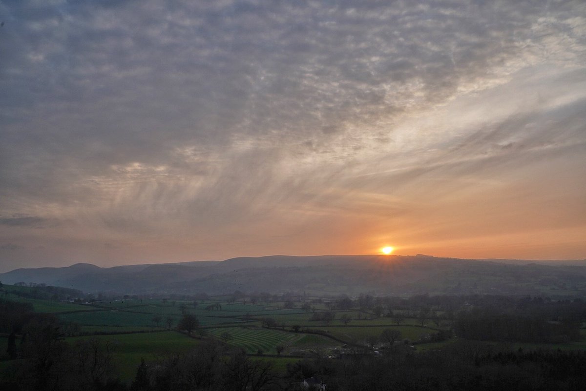 Matthew Halstead tweet media