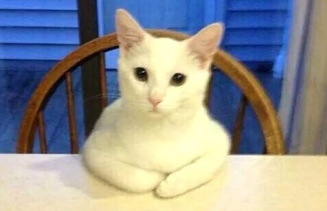 Andrei Apanasik (🐱, 🔪,геймдев и игры) tweet media