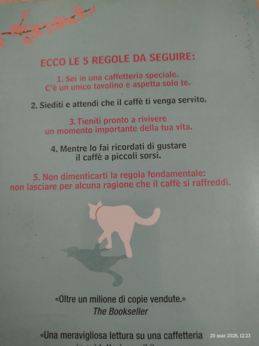 adrianomeis tweet media