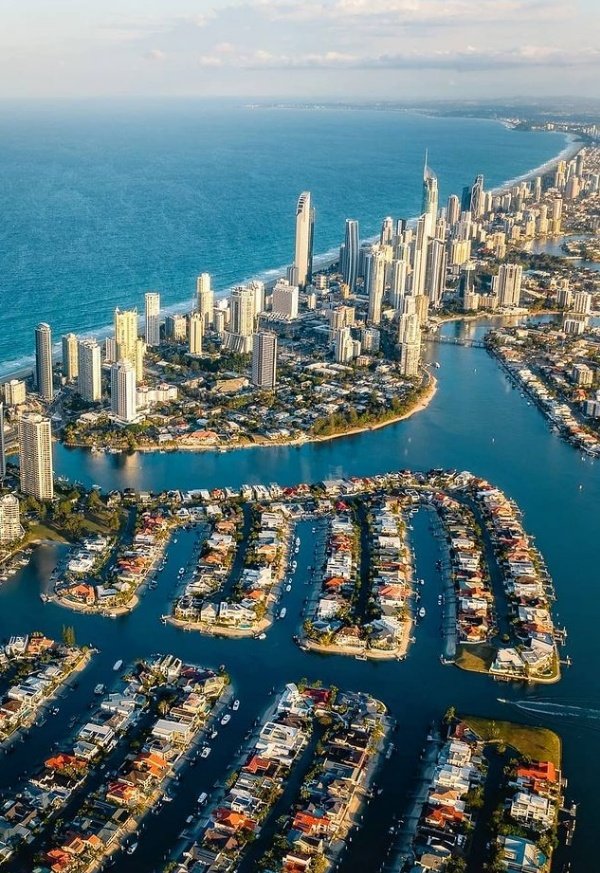 El guardián del tesoro tweet media