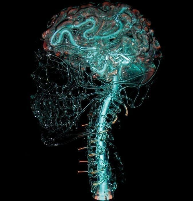 All day Astronomy tweet media