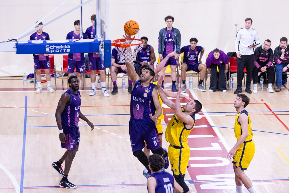 GuadalajaraDiario tweet media