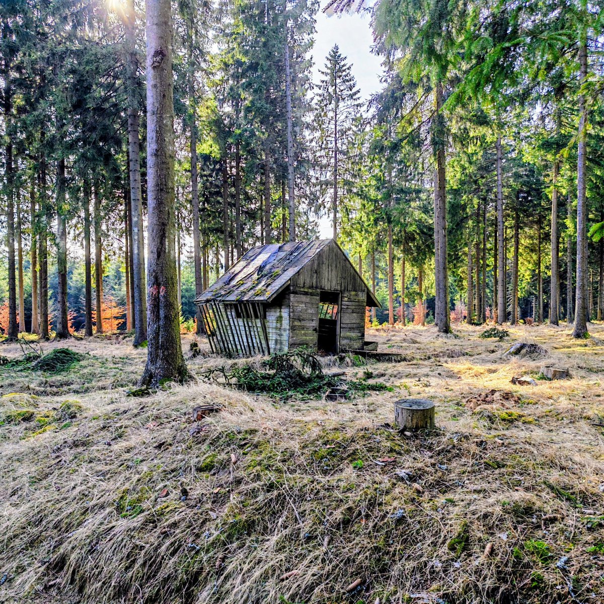 Rico Oelmann tweet media