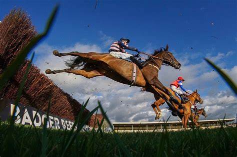 🐦Pigeon🐎Island🐦 tweet media