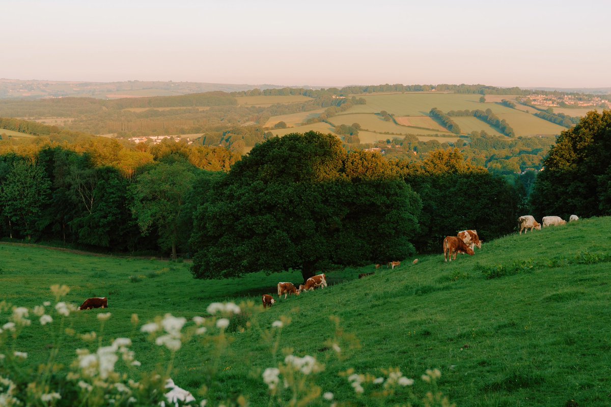 Daniel Casson tweet media