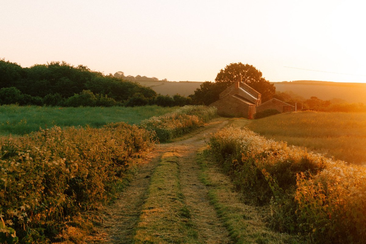 Daniel Casson tweet media
