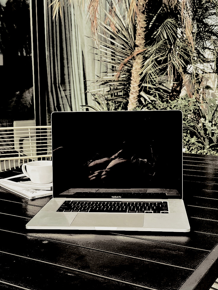 ͏ ͏͏ ͏ ͏ ͏ ͏ ͏ ͏͏𝒟𝑜𝑔𝓈 𝔟𝔦𝔱𝔢. tweet media