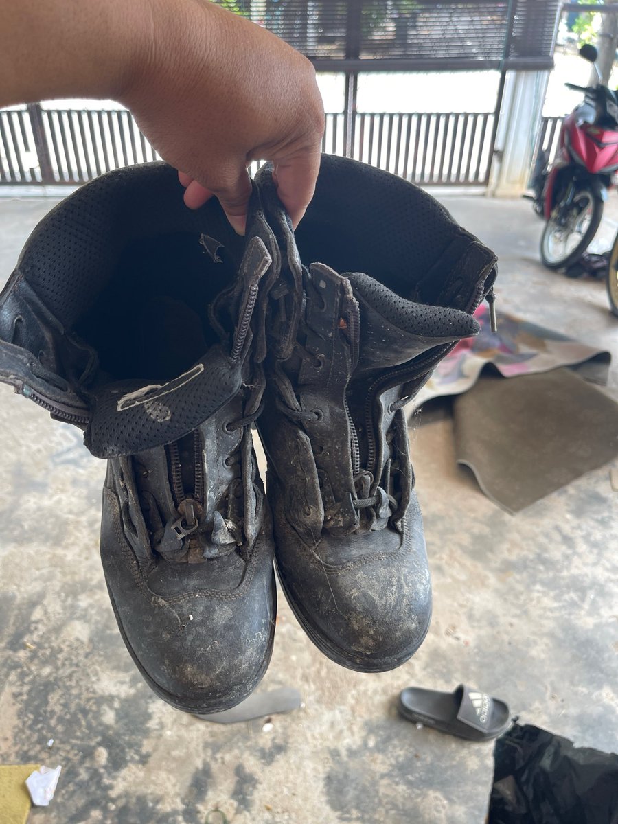 Jzoe Mullex X69V tweet media