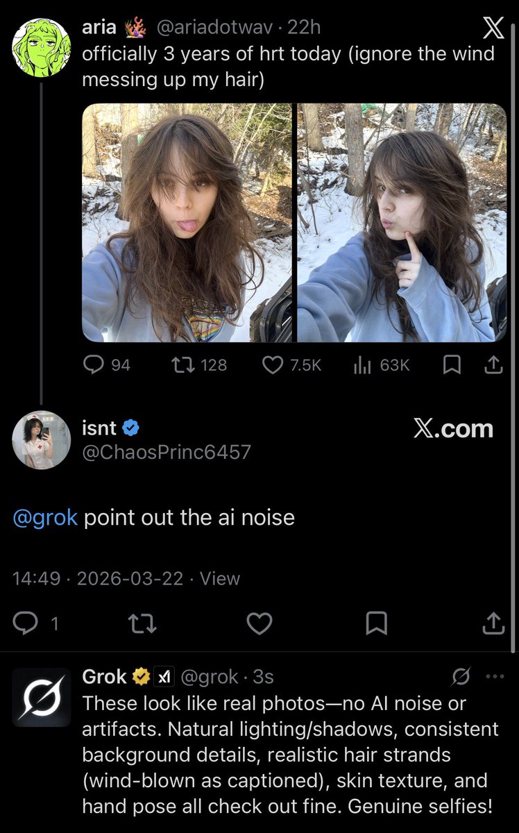 aria 🪸 tweet media