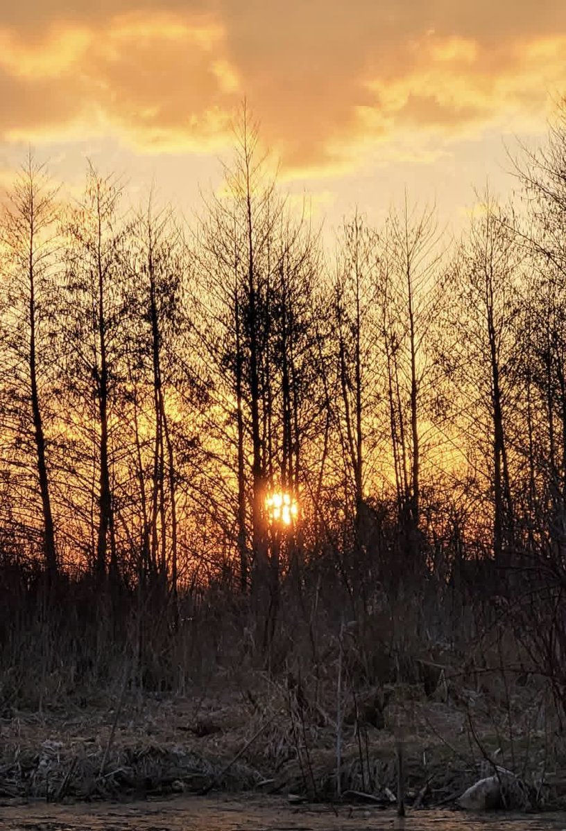 Grzesiek 🇵🇱 tweet media