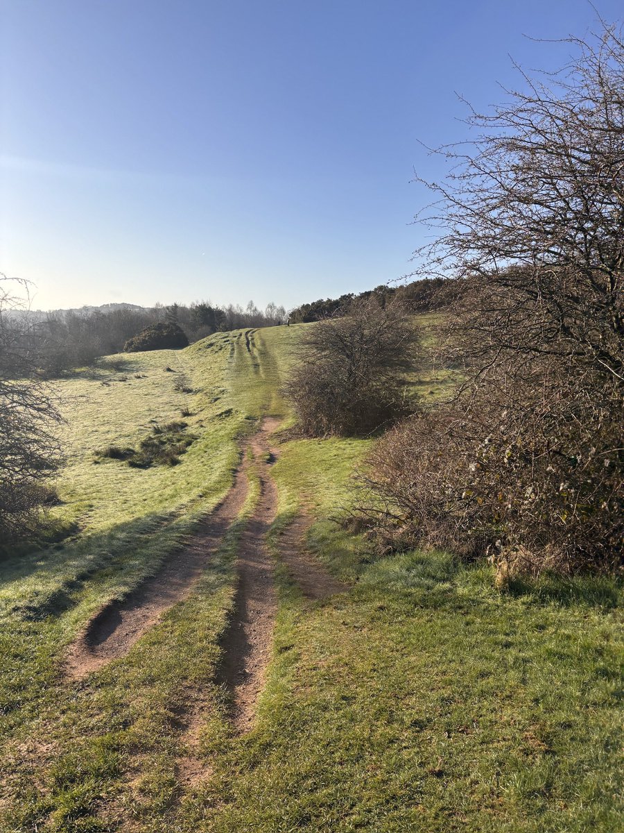 Mark Mawdsley tweet media