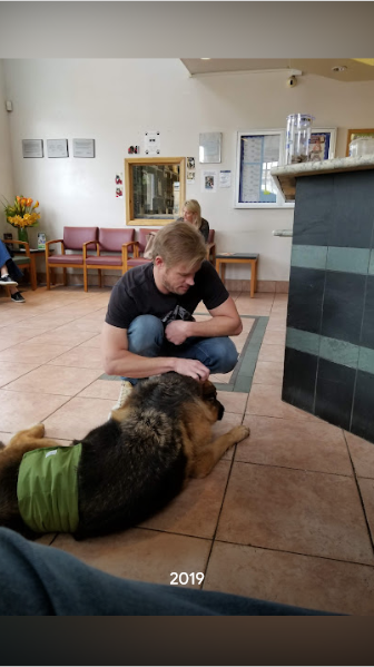 Shadow & Chance tweet media