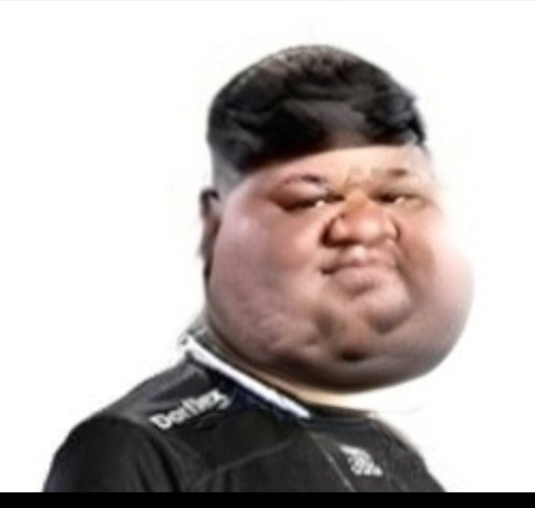 GatoBichano tweet media