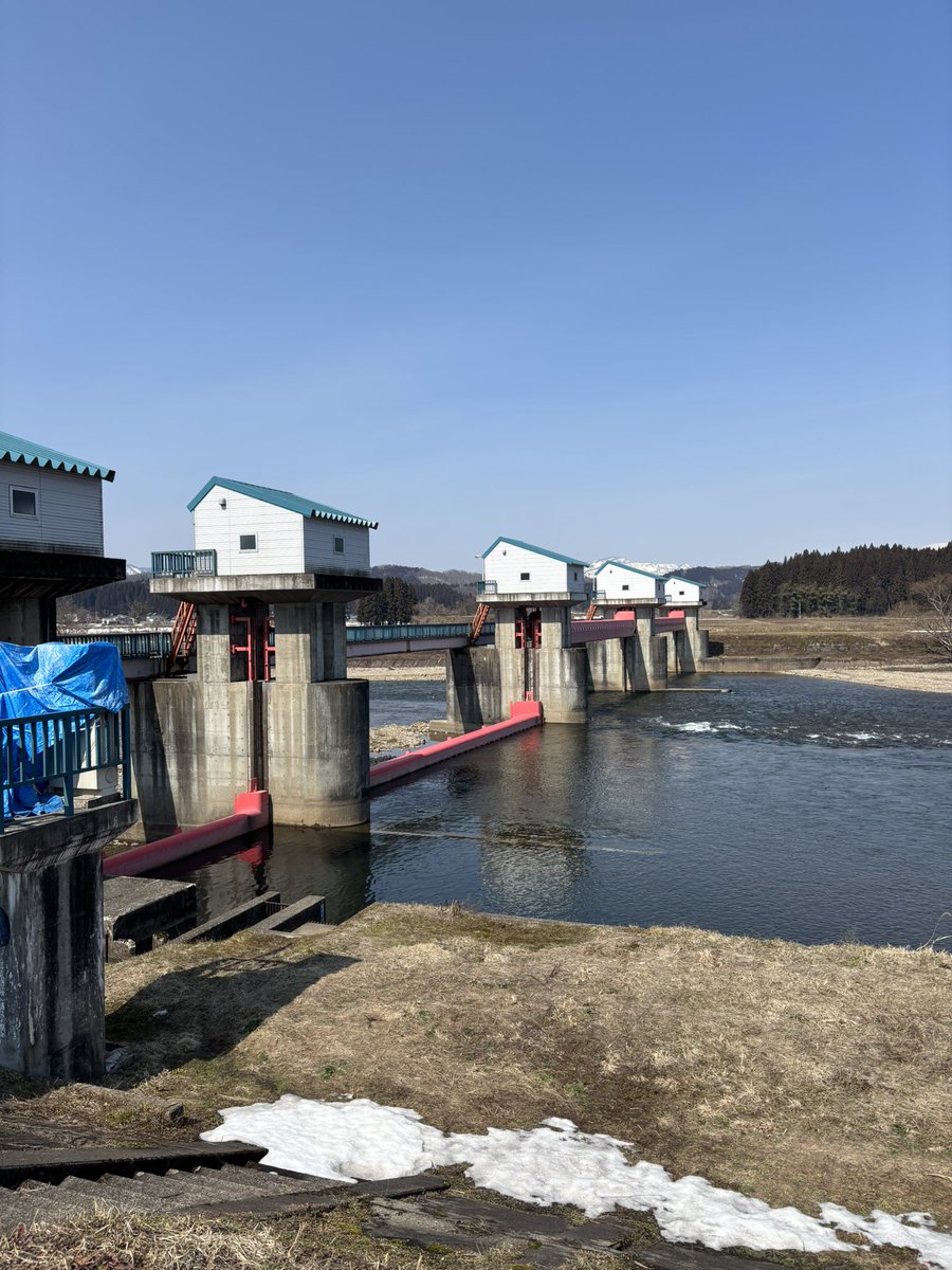 トミー tweet media