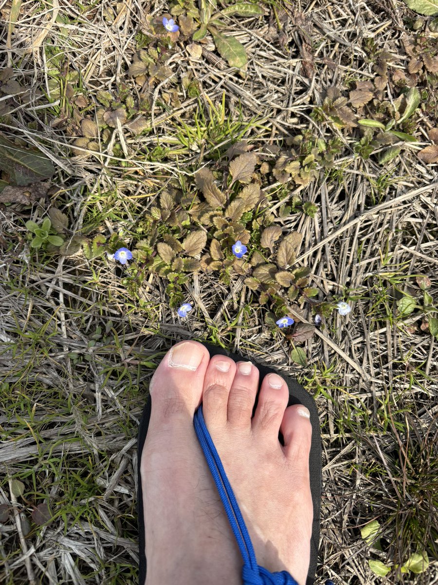 トミー tweet media