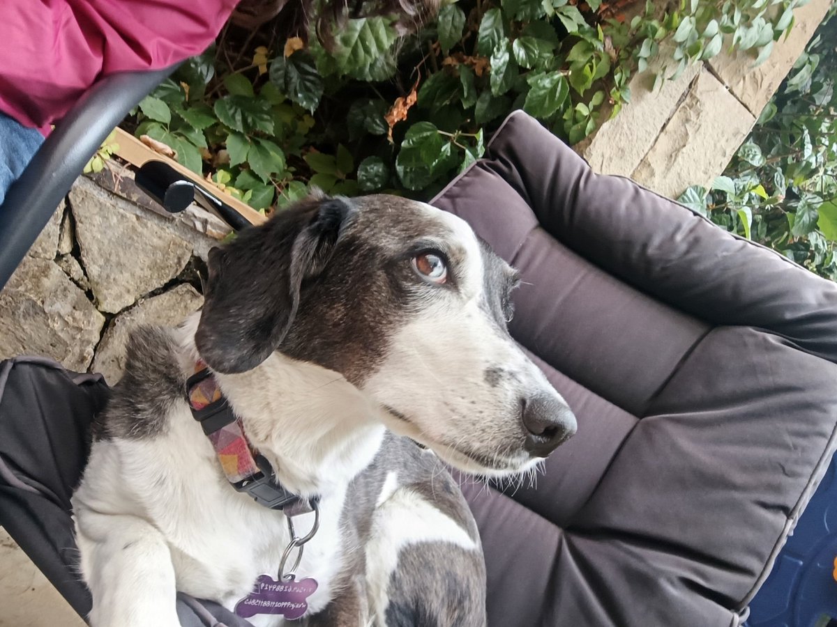 Bárbara♒💜💚 tweet media