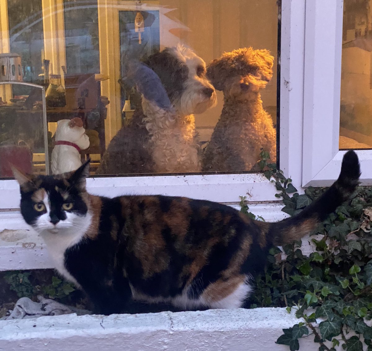 BeMoreBob tweet media