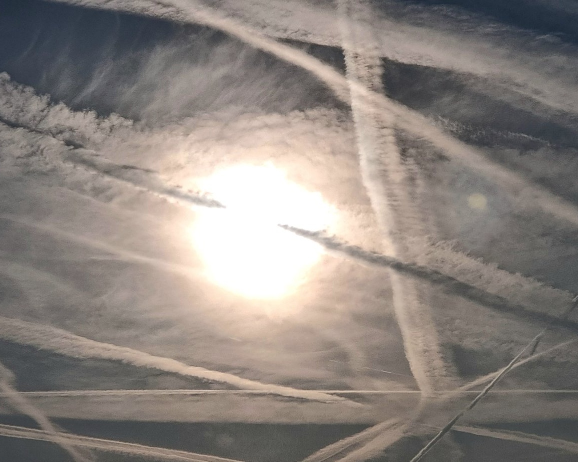 Anti Lockdown Alliance(GLOBAL) tweet media