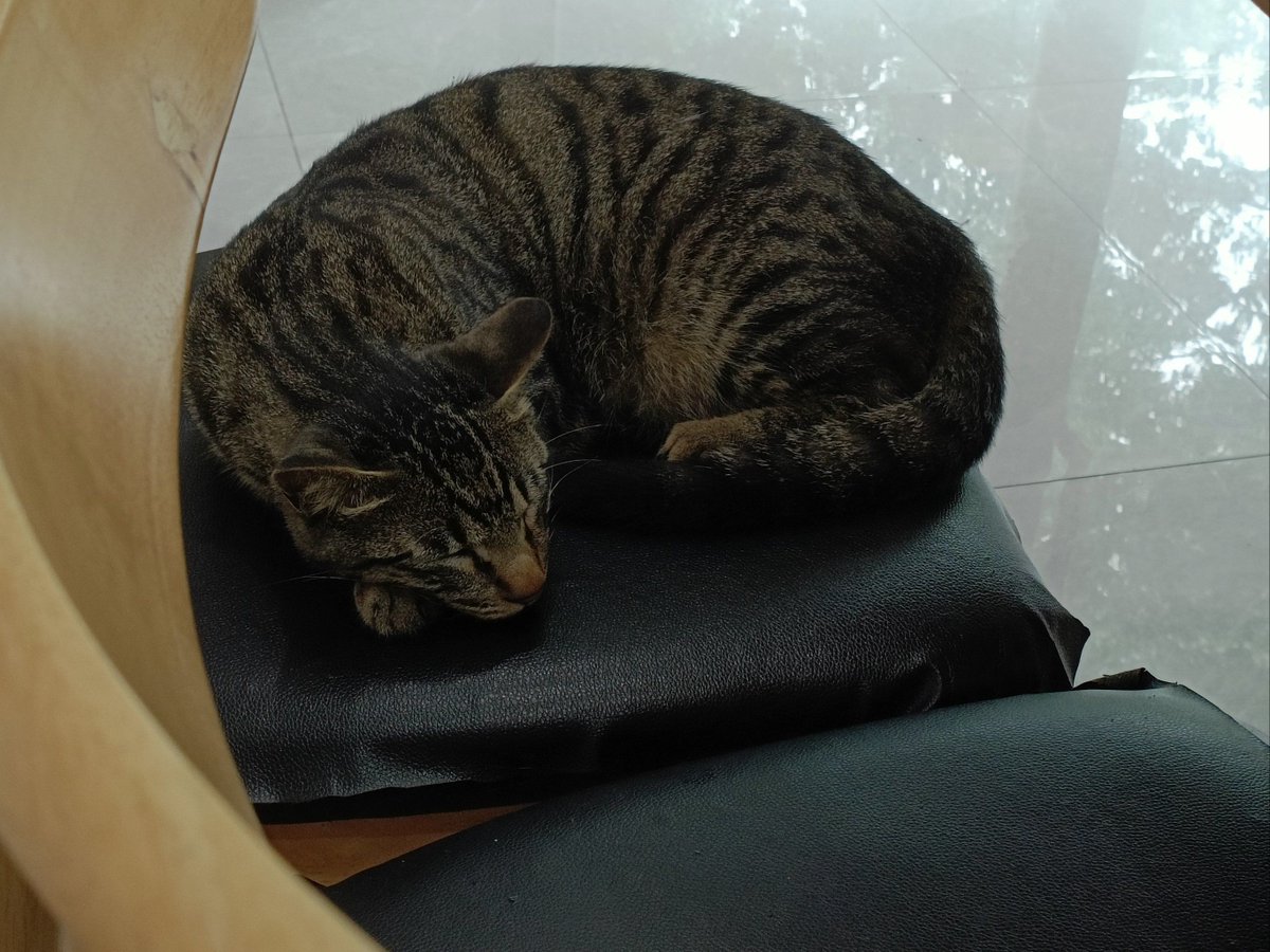 malinteki tweet media