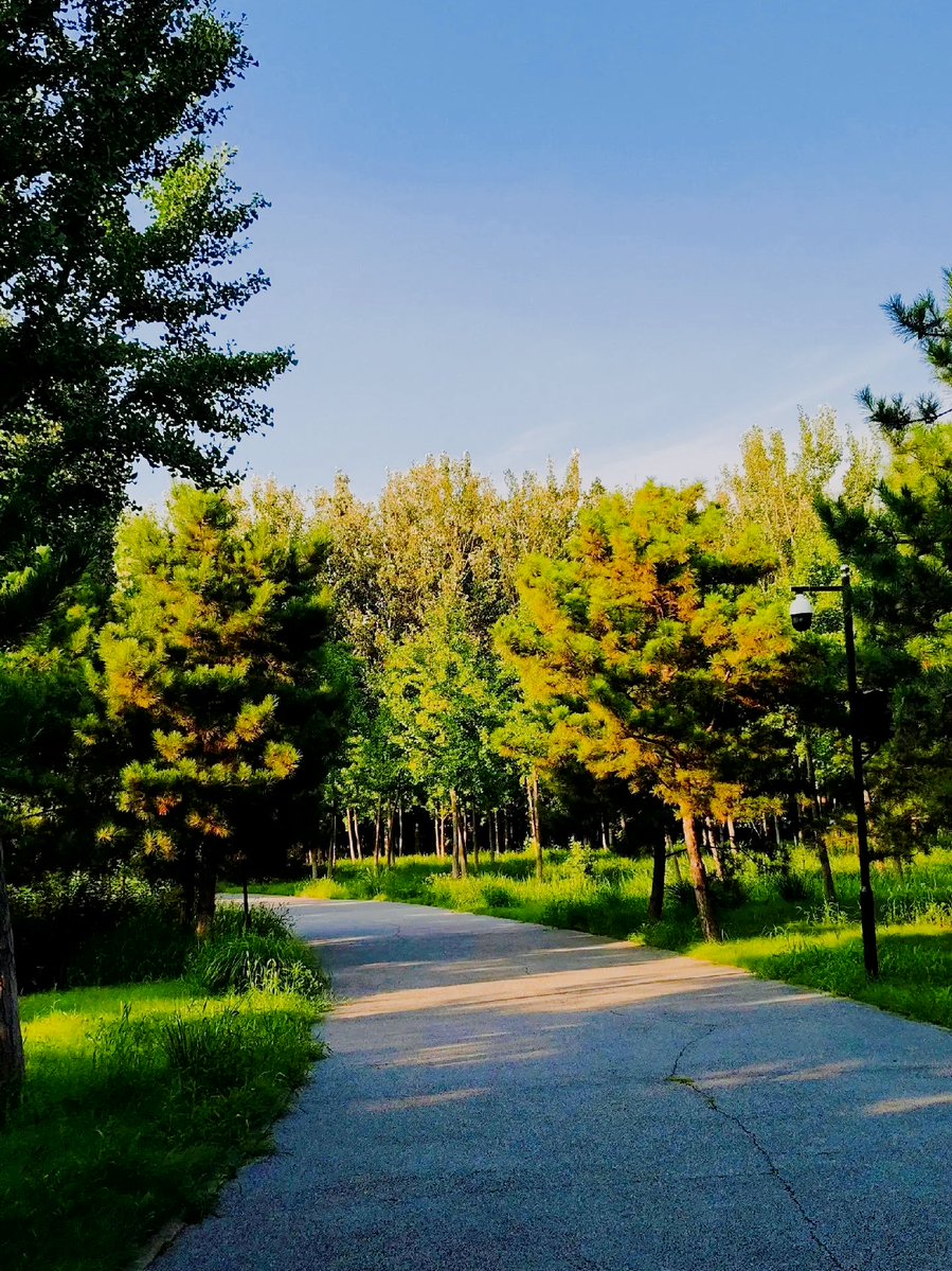 Dagmar Musilová tweet media