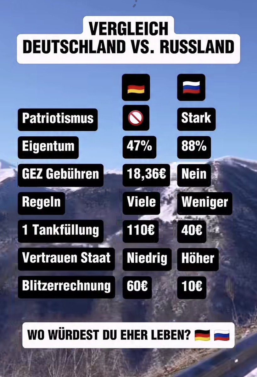 schrammi 🐠 tweet media