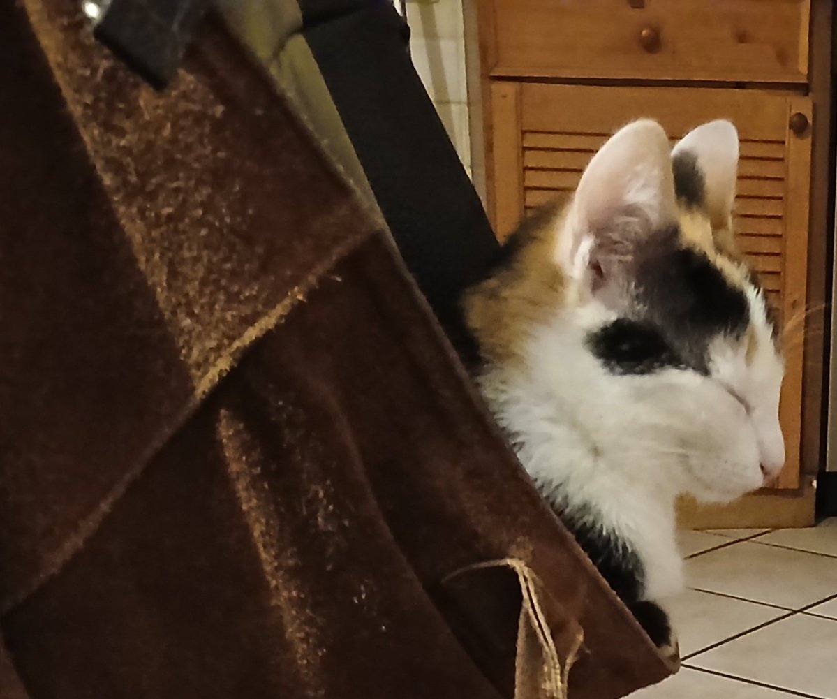 Ting Tong Brömseklöten-Memmenhauser tweet media